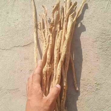 【优选】防风精加工品质优良诚信经营可视频看货
