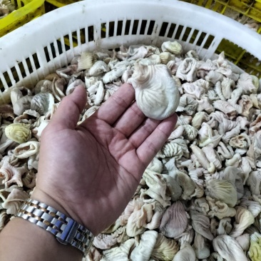 肉食鸡素皮
