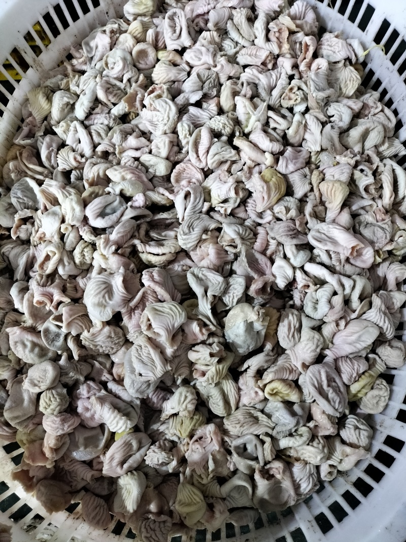 肉食鸡素皮