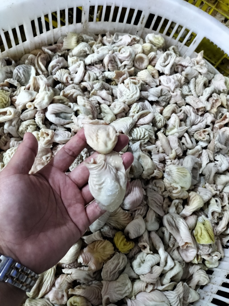 肉食鸡素皮