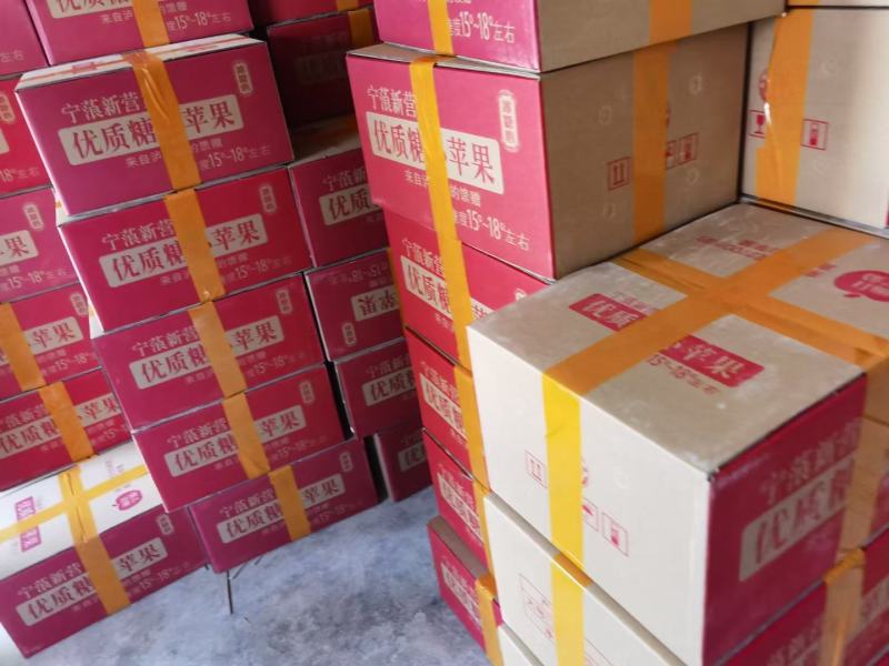 丽江宁蒗糖心苹果，产地只发，一件代发