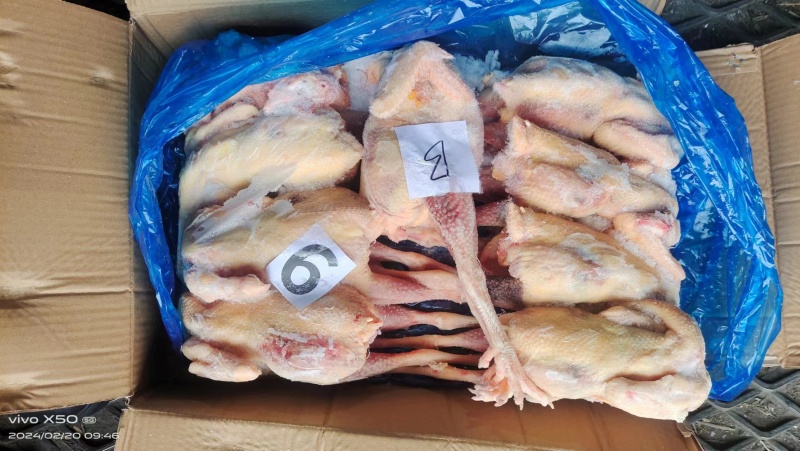 二级老母鸡