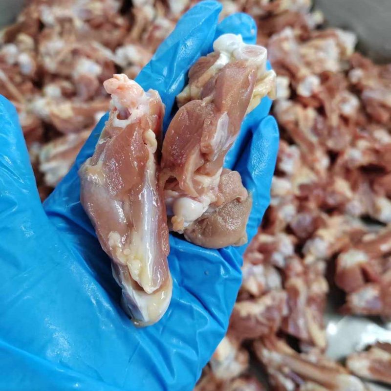 多肉鸭腿骨