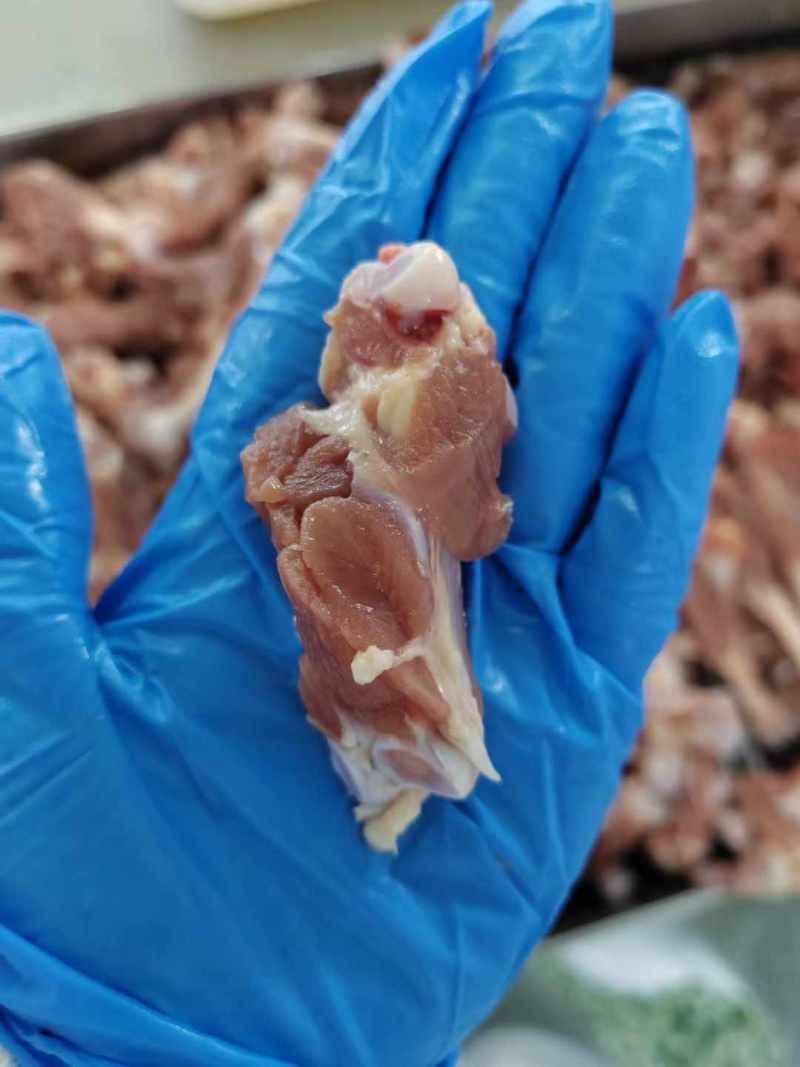 多肉鸭腿骨