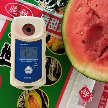 山东省青州市优质农产品。货源充足，交通便利，经验丰富