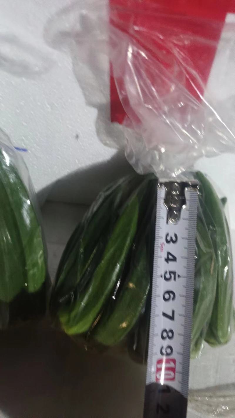 福建秋葵基地直发，一手货源质量保证，视频看货量大可优惠