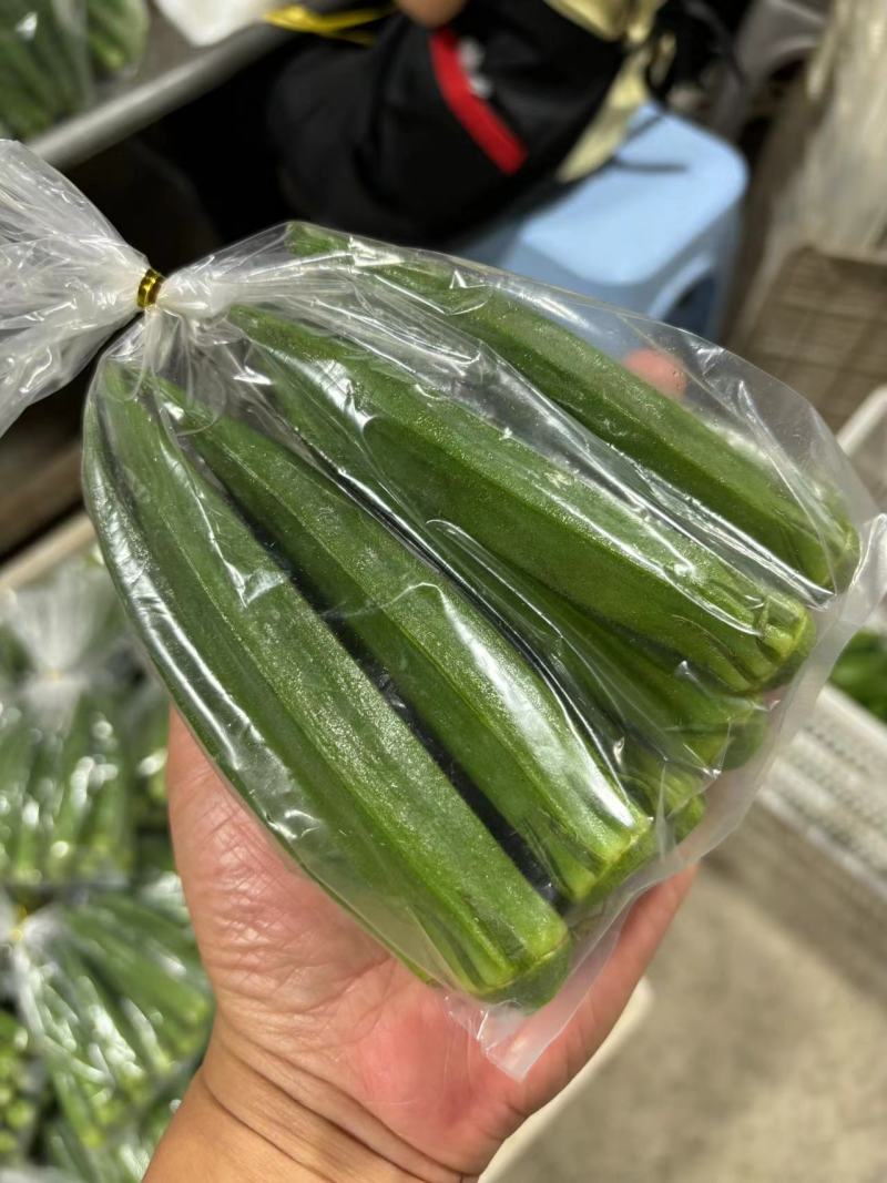 福建秋葵基地直发，一手货源质量保证，视频看货量大可优惠
