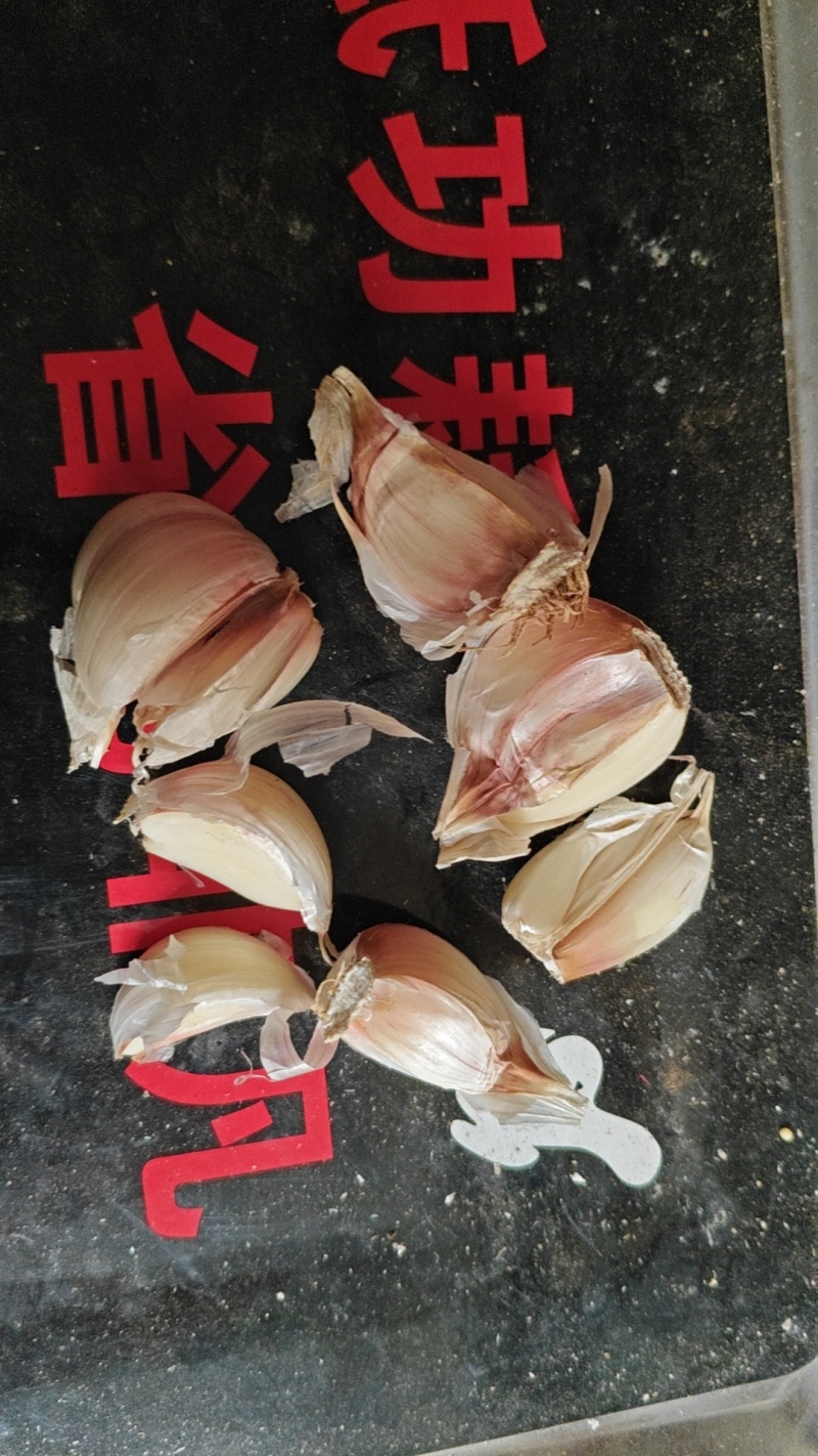中大个干大蒜，如图，便宜卖，需要的联系，量多可优惠