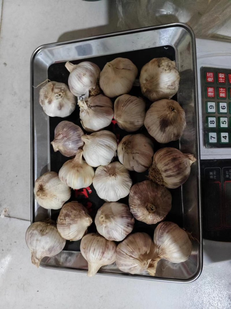 中大个干大蒜，如图，便宜卖，需要的联系，量多可优惠