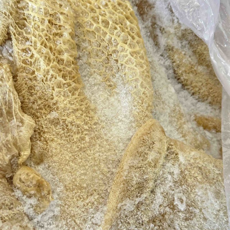 半成品牛肚带金钱肚整个牛肚全国各地可发货