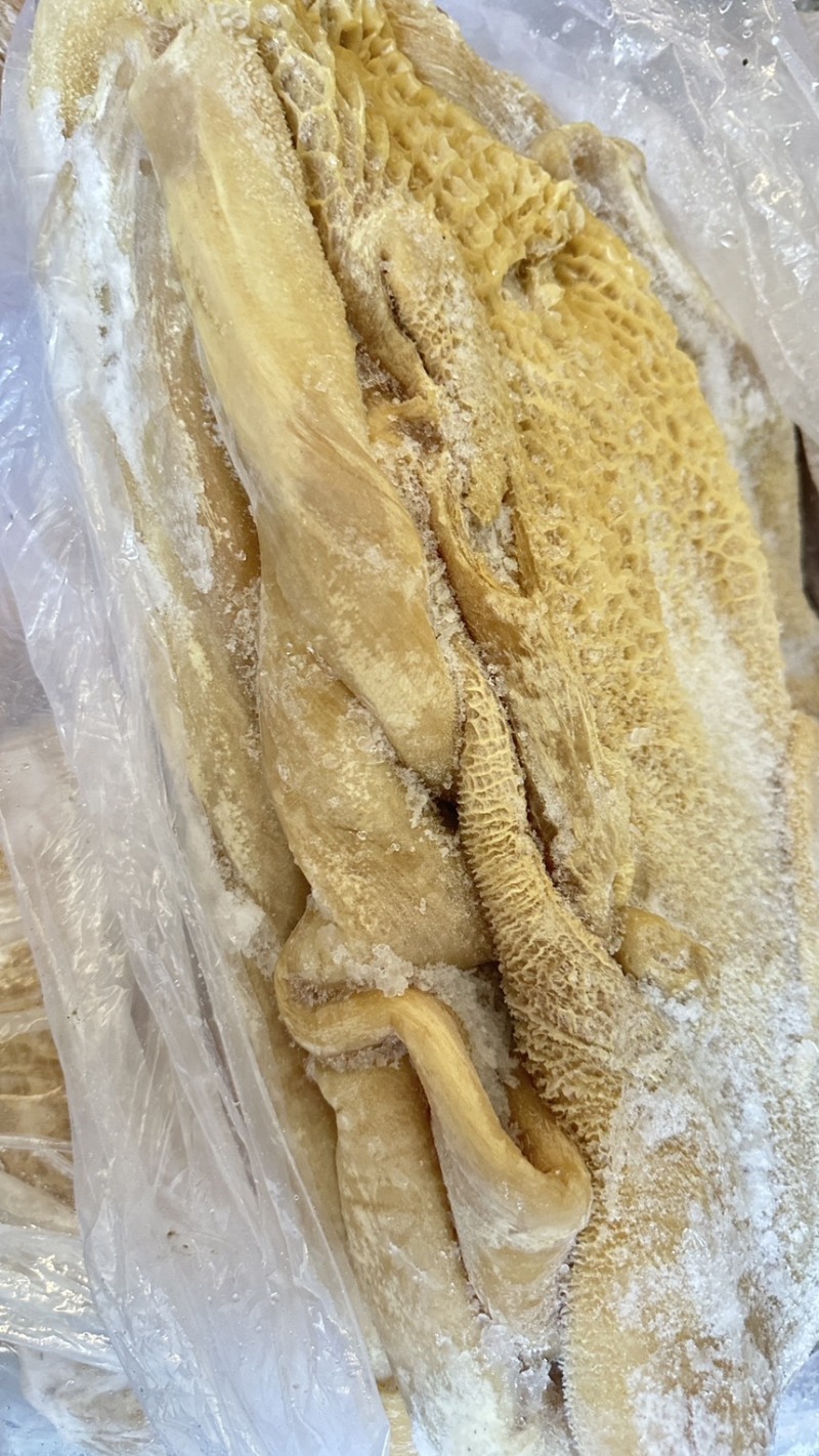 半成品牛肚带金钱肚整个牛肚全国各地可发货