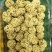 坚果丸子，山药荞麦球，休闲膨化食品10斤一箱