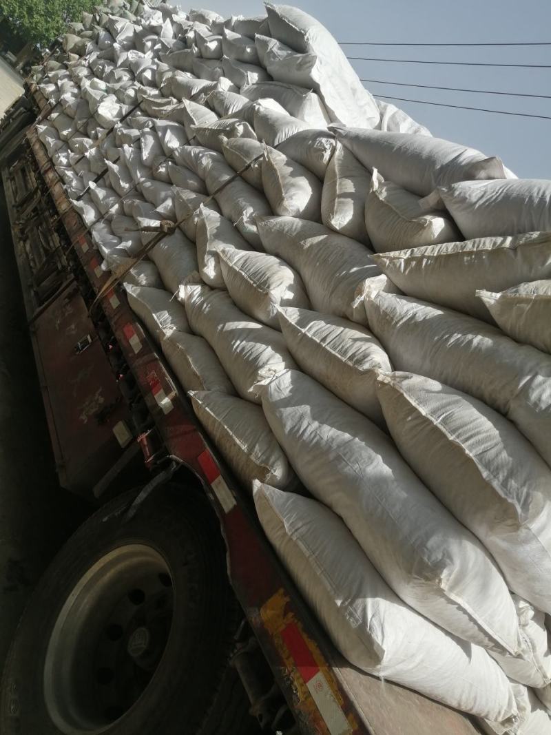 木香木香片云木香祁木香