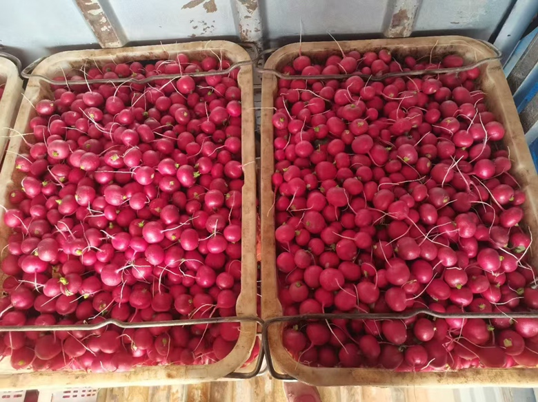 天星02水果萝卜包装与零售场景