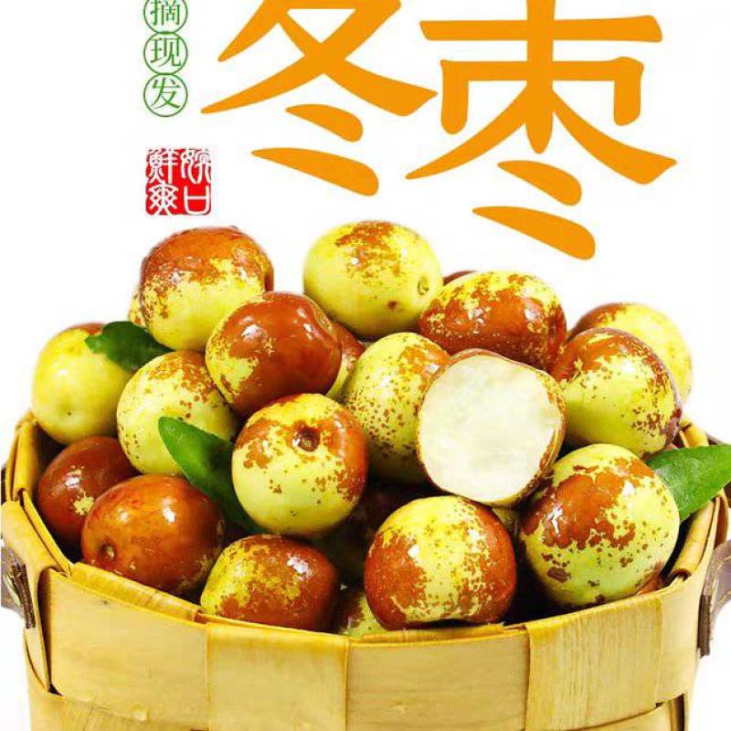 精品冬枣又脆又甜，颜色好，口感好，脆甜多汁，现摘现发新鲜