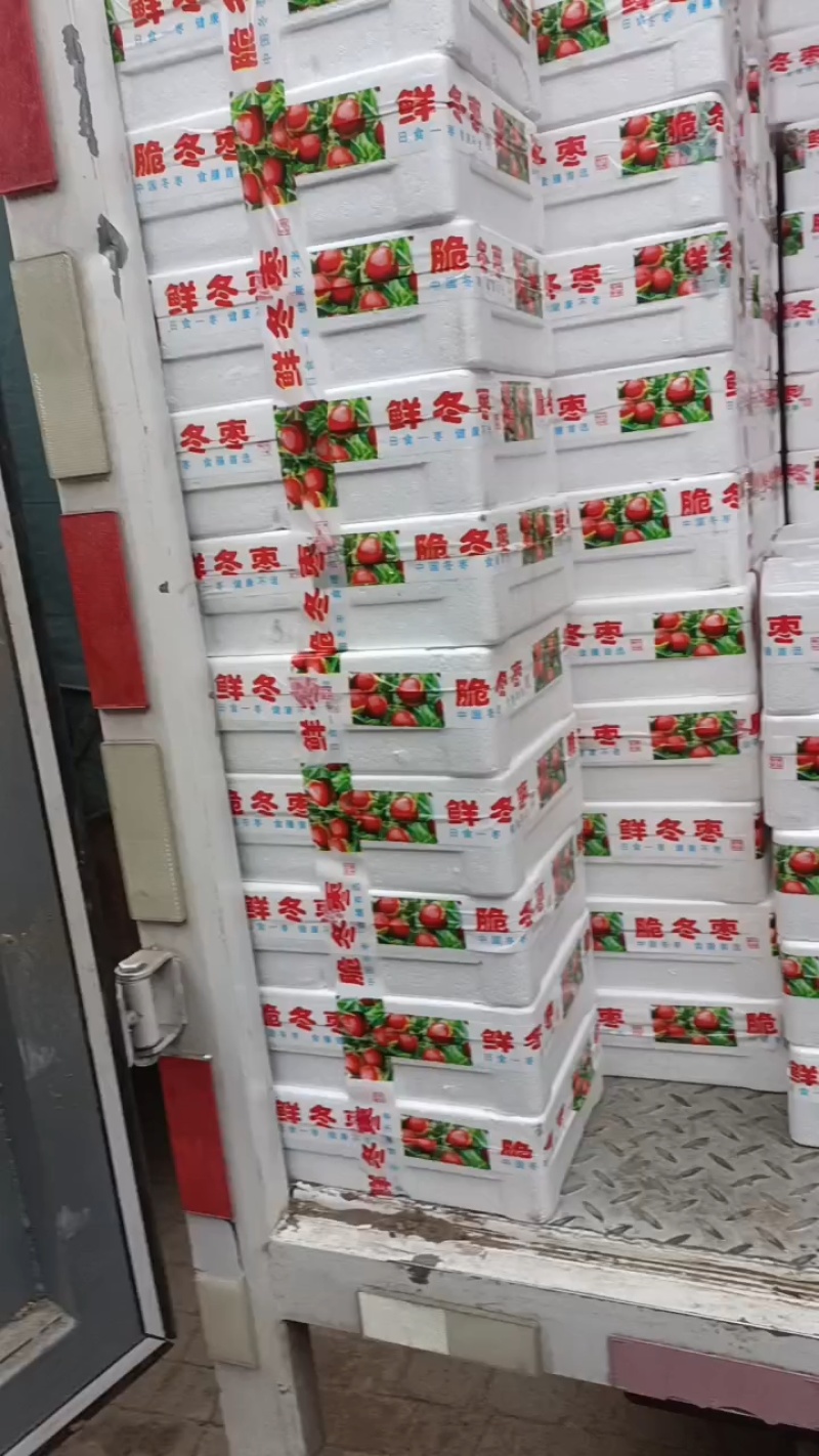 精品冬枣又脆又甜，颜色好，口感好，脆甜多汁，现摘现发新鲜