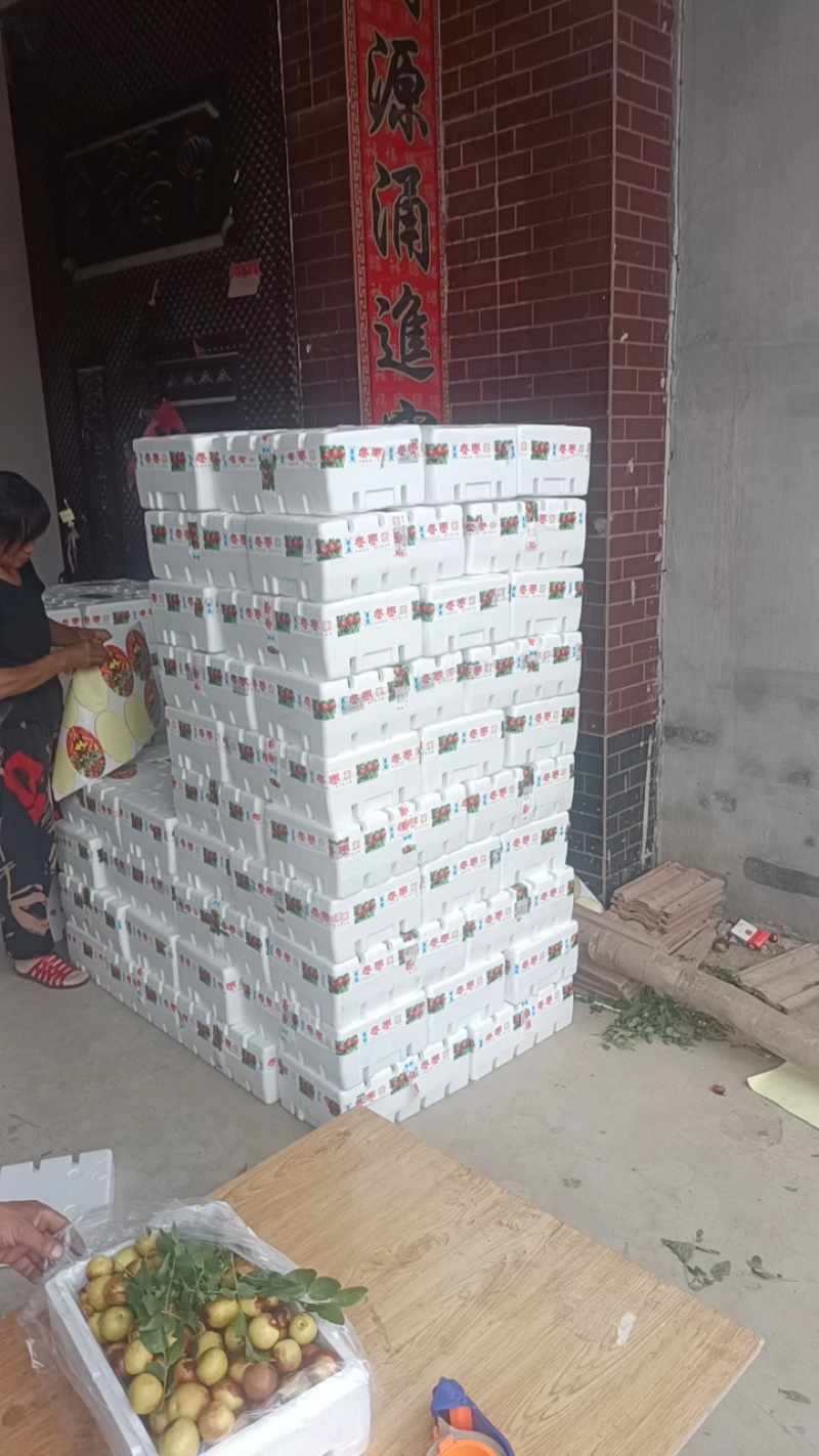 精品冬枣又脆又甜，颜色好，口感好，脆甜多汁，现摘现发新鲜