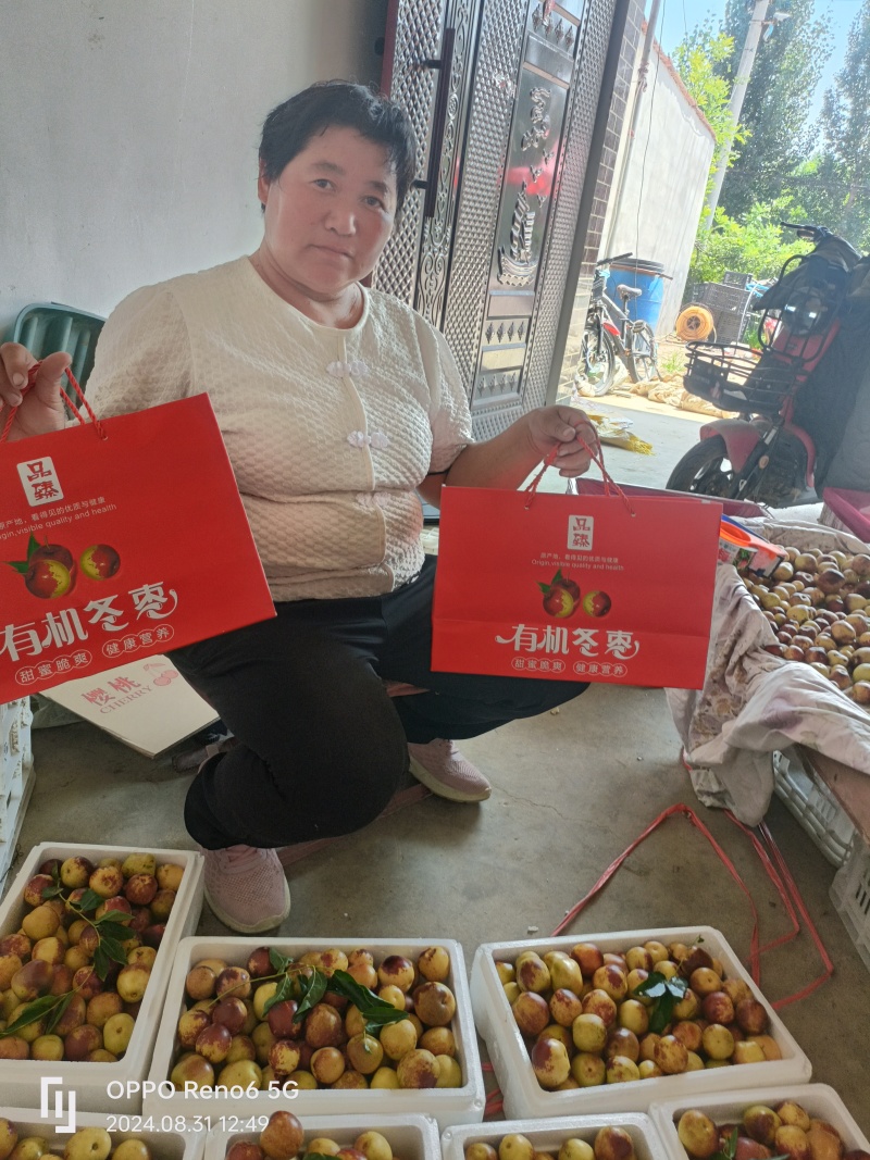 精品冬枣又脆又甜，颜色好，口感好，脆甜多汁，现摘现发新鲜