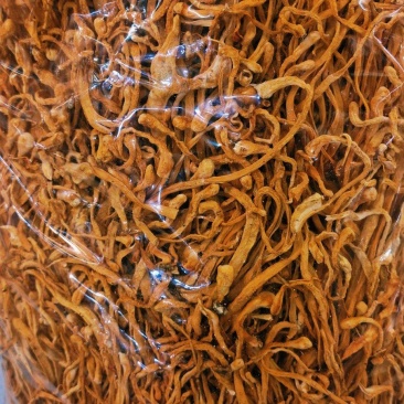宁夏菌业大量批发虫草花质量保证干货欢迎下单联