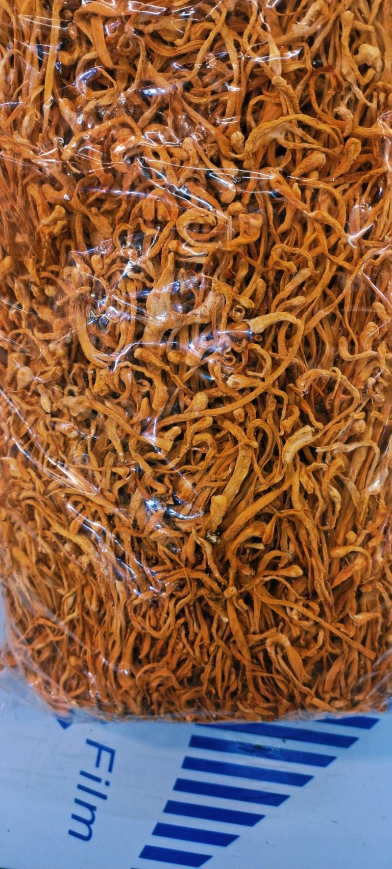宁夏菌业大量批发虫草花质量保证干货欢迎下单联