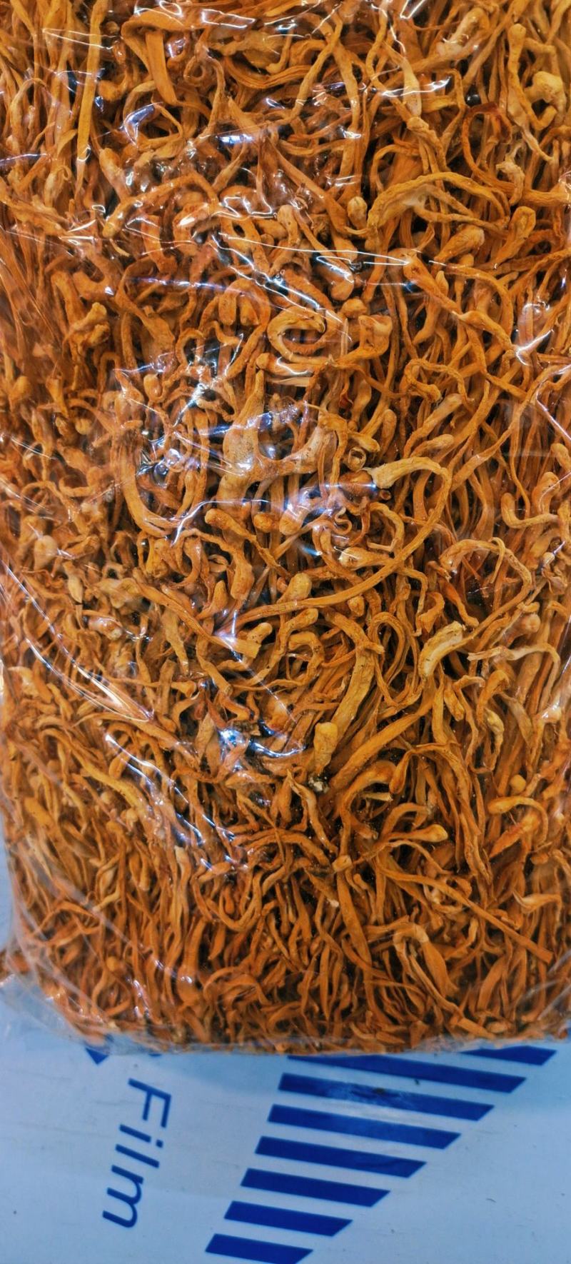 宁夏菌业大量批发虫草花质量保证干货欢迎下单联
