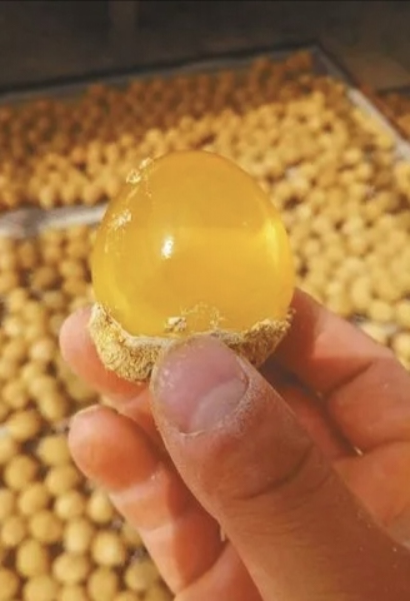 精品变蛋，无铅松花蛋货源充足量大从优质量保证欢迎咨询