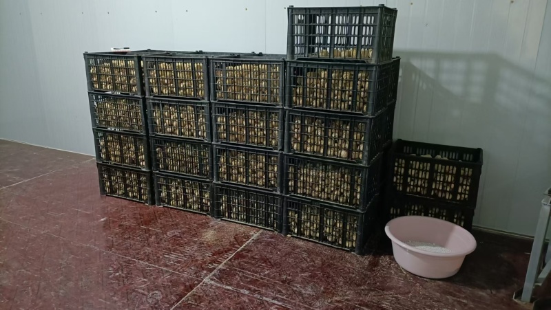 精品变蛋，无铅松花蛋货源充足量大从优质量保证欢迎咨询