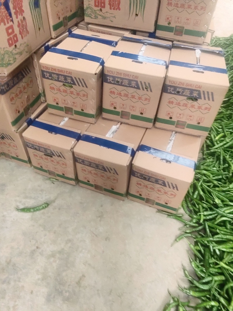 鲜辣椒线椒泡椒螺丝椒等，产地直发，品质保证，量大从优