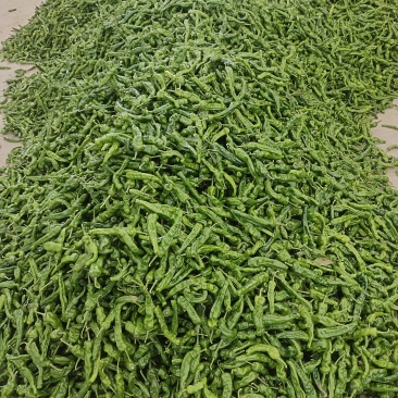 鲜辣椒线椒泡椒螺丝椒等，产地直发，品质保证，量大从优