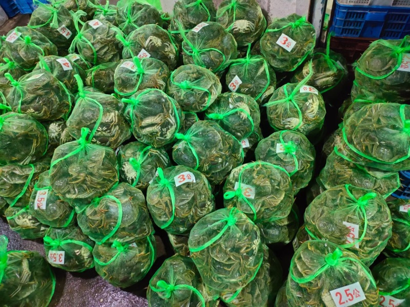 湖北洪湖大闸蟹青壳白底产地直发一手货源保质保量可供商超