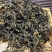 云南古树滇红散茶250g装