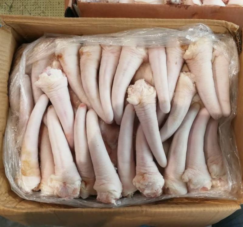 短猪尾