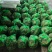湖北洪湖大闸蟹青壳白底产地直发一手货源保质保量可供商超