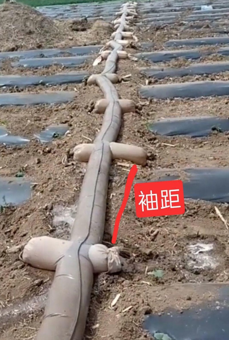 厂家直销加厚浇地灌溉神器布水带管子垄沟地龙多袖水龙带农用水带