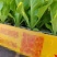 意大利生菜苗基地供应量大质优价格优惠一手货源