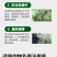 棘孢木霉菌喷粉专用微生物肥灰霉病霜霉病白粉病真菌病肥料