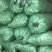 正宗广东化橘红质量优质量大价优欢迎来电
