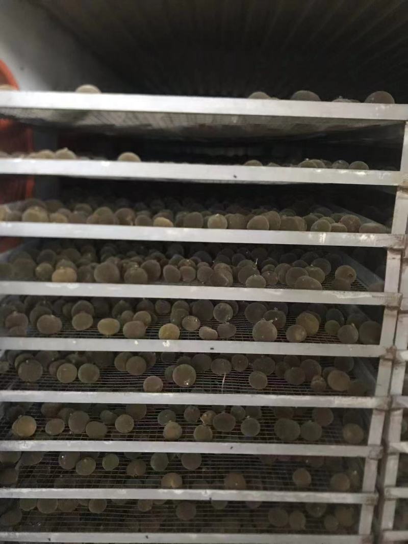 正宗广东化橘红质量优质量大价优欢迎来电