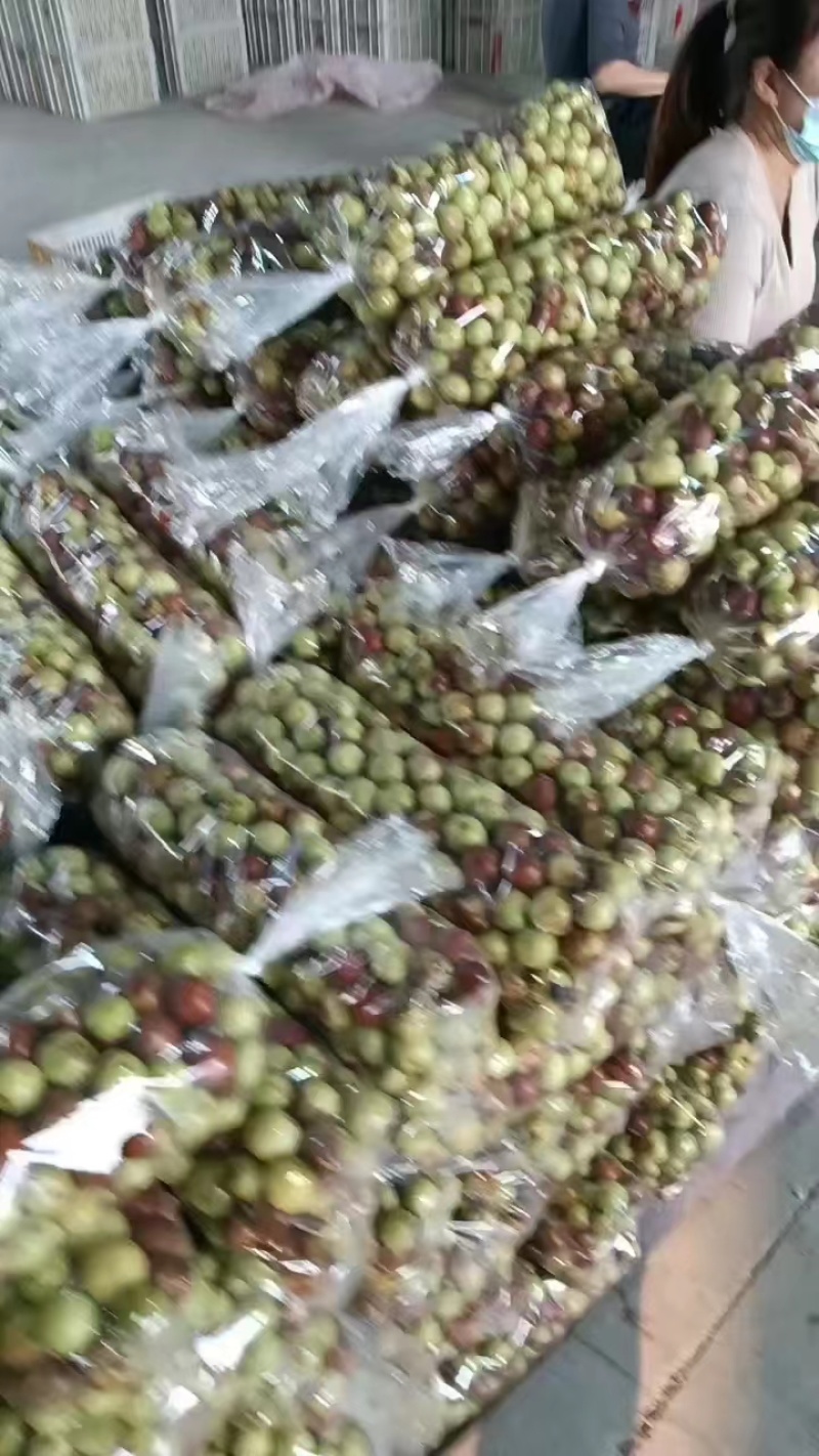 冬枣【沾化冬枣】对接电商，商超各种规格全国发