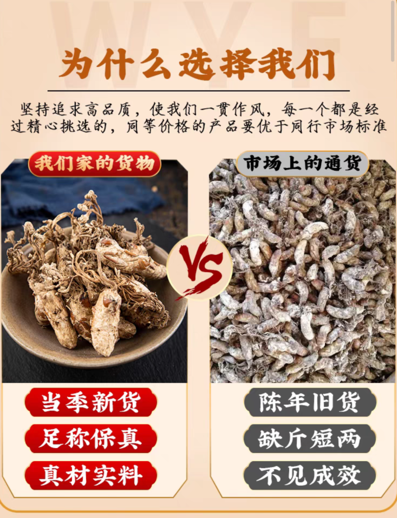 金蝉花新货金蝉花规格齐全闪电发货量大从优