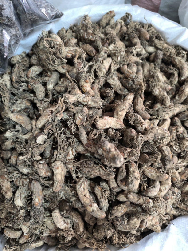 金蝉花新货金蝉花规格齐全闪电发货量大从优