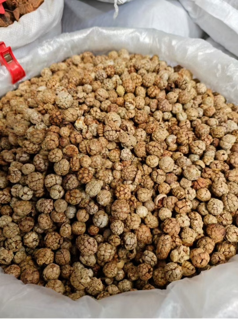 越南中草寇新货上市个头均匀颜色漂亮欢迎联系