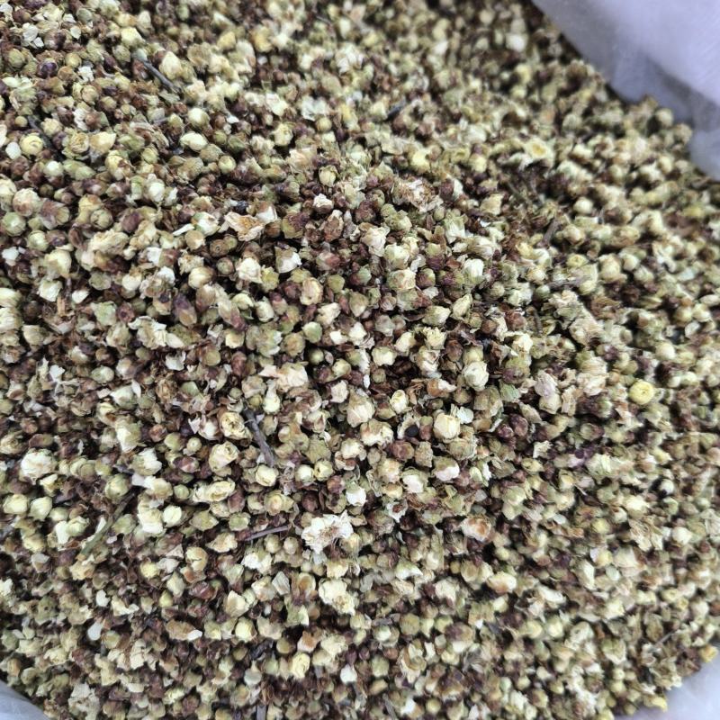 中药白梅花绿萼梅干梅花苞泡水绿梅无硫量大从优