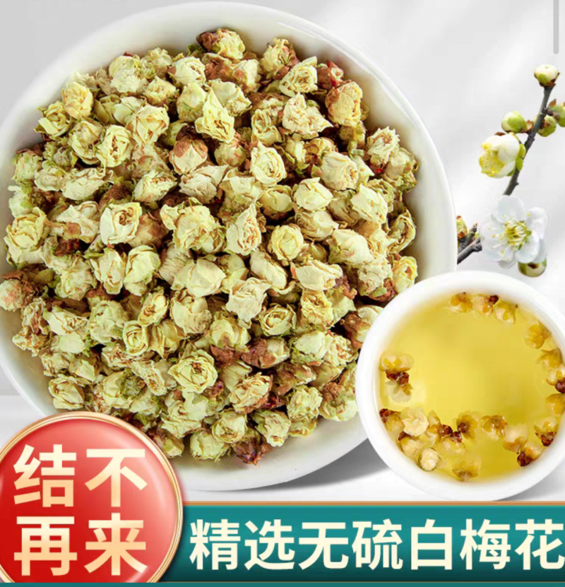 中药白梅花绿萼梅干梅花苞泡水绿梅无硫量大从优