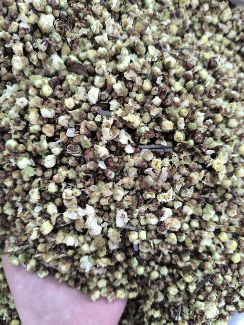 中药白梅花绿萼梅干梅花苞泡水绿梅无硫量大从优