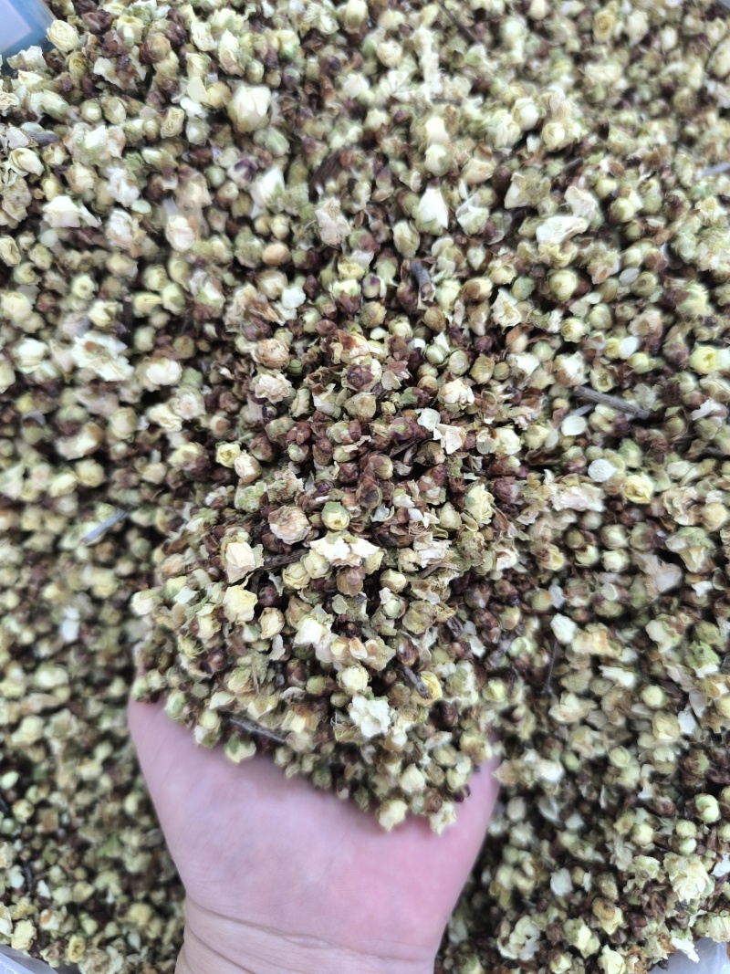 中药白梅花绿萼梅干梅花苞泡水绿梅无硫量大从优