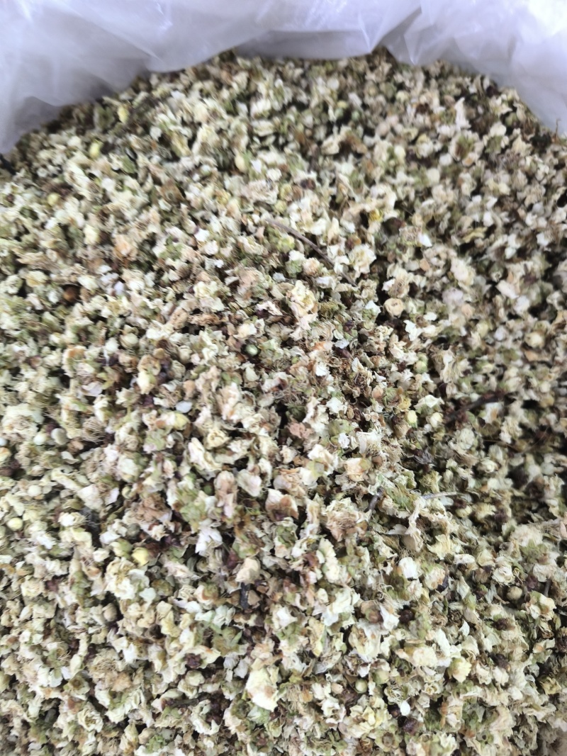 中药白梅花绿萼梅干梅花苞泡水绿梅无硫量大从优