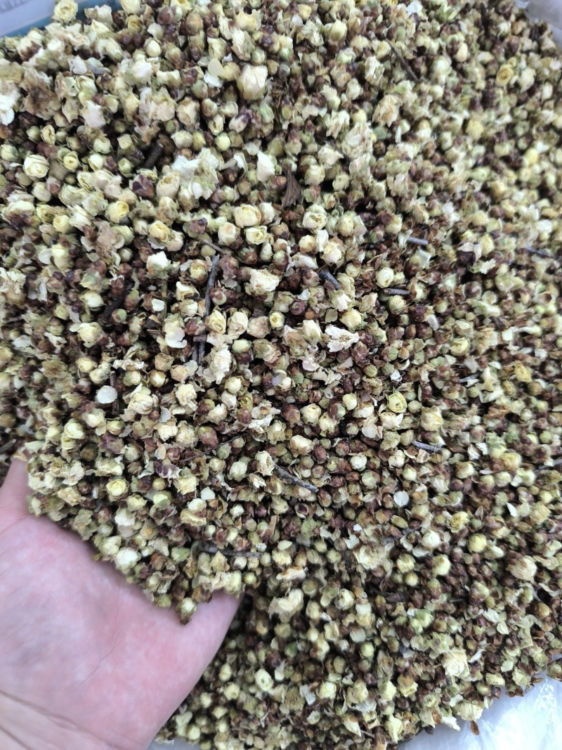 中药白梅花绿萼梅干梅花苞泡水绿梅无硫量大从优