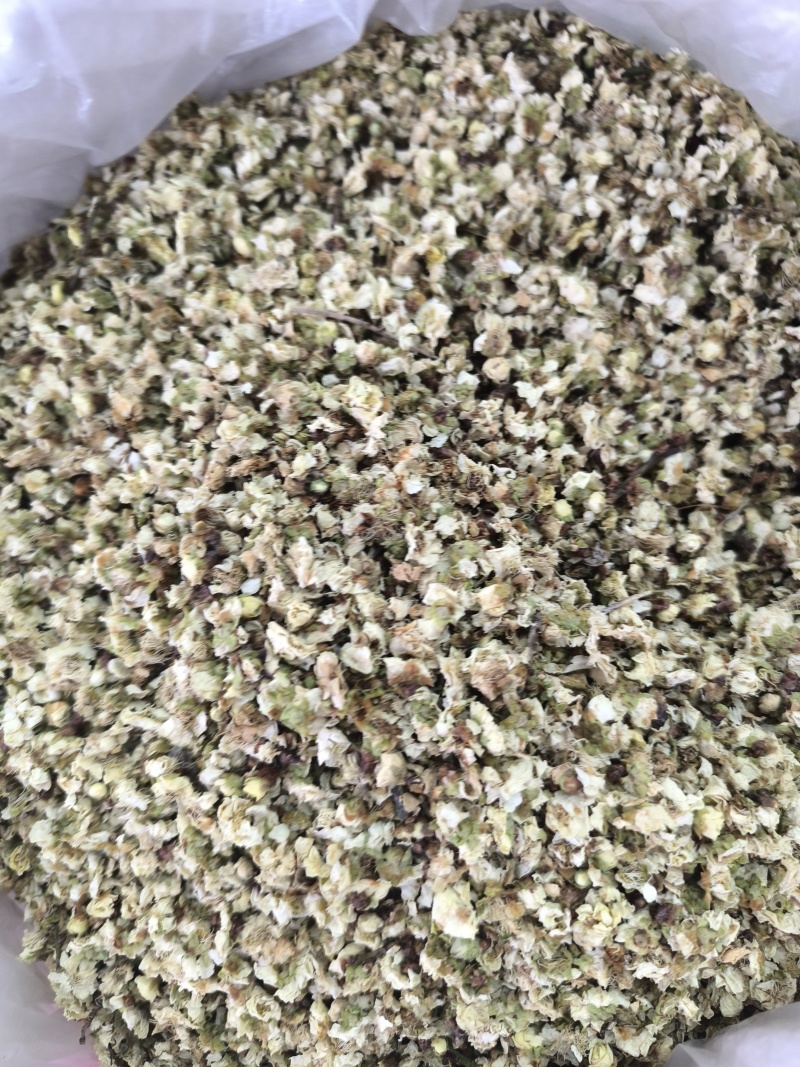 中药白梅花绿萼梅干梅花苞泡水绿梅无硫量大从优