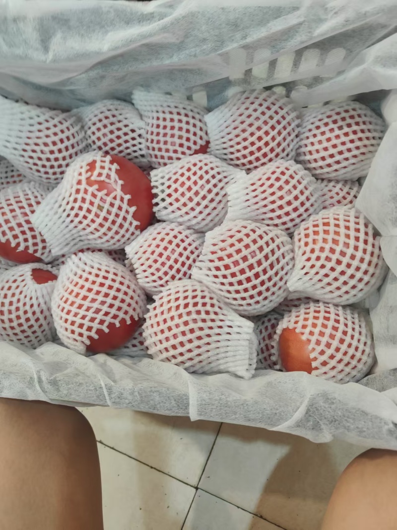 攀枝花，西昌，阿坝。老味道番茄